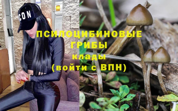 кристаллы Мегион