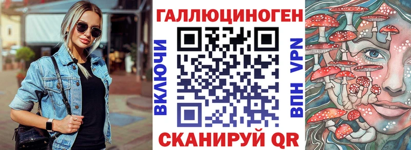 что такое   Сальск  KRAKEN как зайти  Галлюциногенные грибы Cubensis 